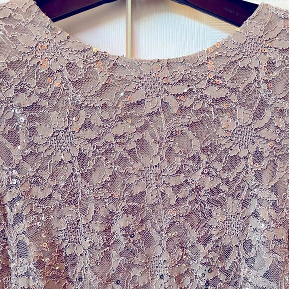 MOCHA R&M RICHARDS SLEEVELESS LACE & SEQUIN DRESS PLUS SIZE 18W MADE IN USA NWT - Picture 3 of 6